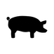 Schwein Schwein